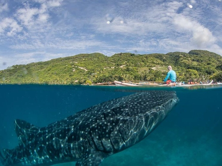 dry season diving Philippines dry season diving Philippines