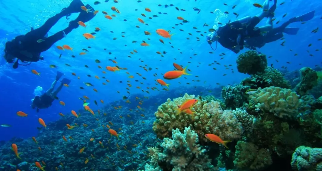 Where is the best place to scuba dive in the Mediterranean?