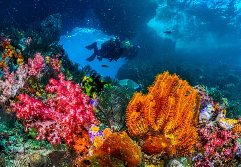 scuba diving destinations