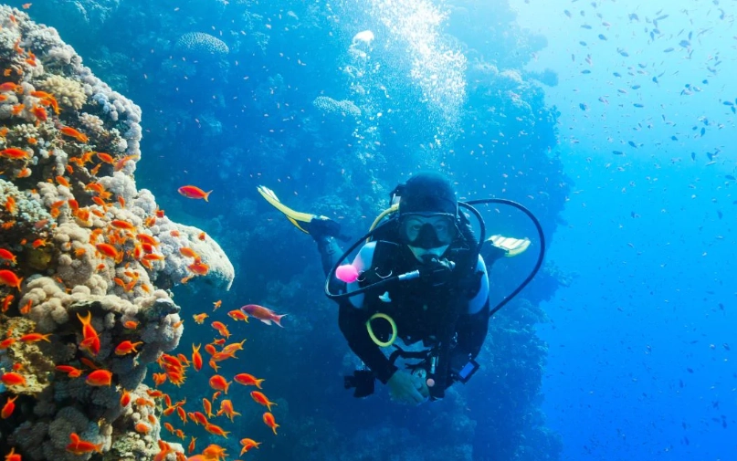 scuba diving Mediterranean sea scuba diving Mediterranean sea