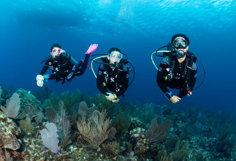 best Mediterranean dive sites best Mediterranean dive sites