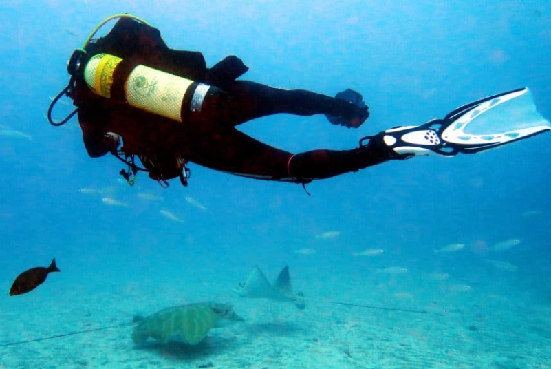 best dive sites for beginners