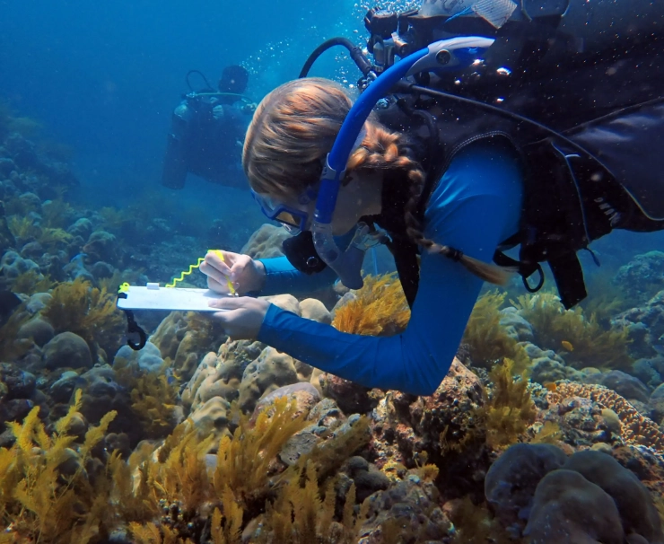 coral reef conservation