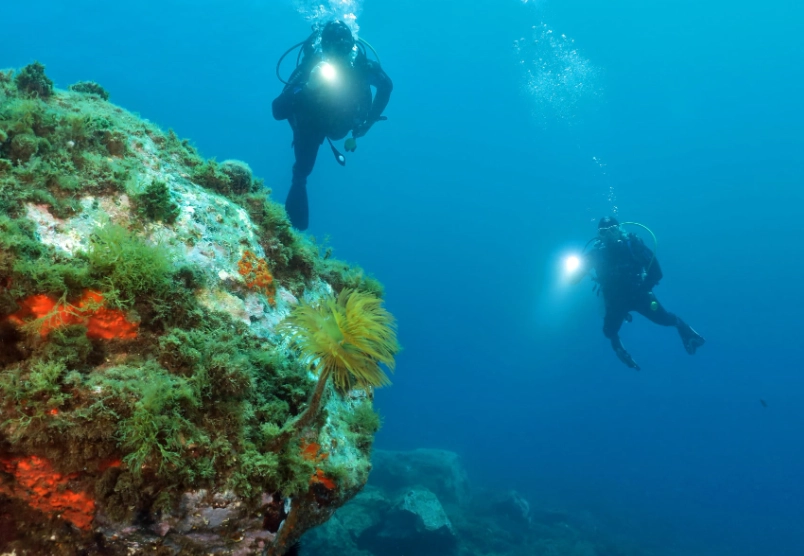 Best scuba diving in Europe for beginners