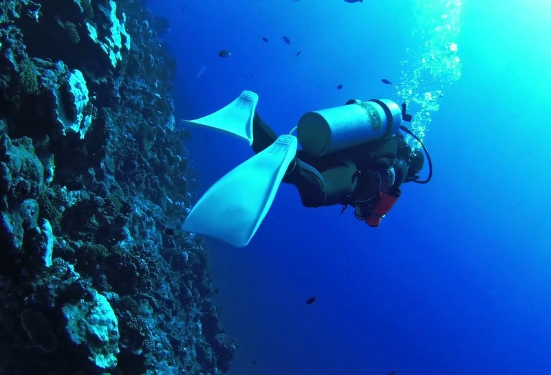 scuba diving travel