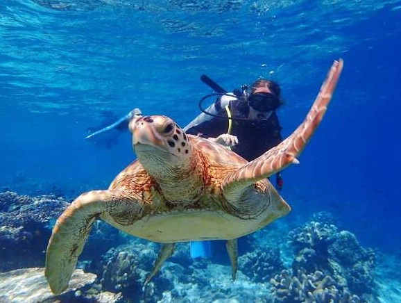 Best places for scuba diving in Asia