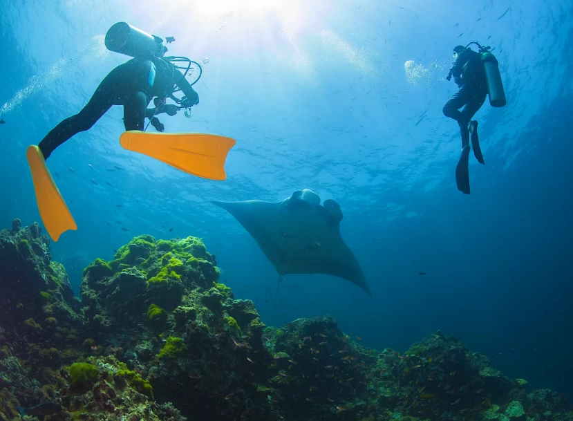 easy scuba diving spots
