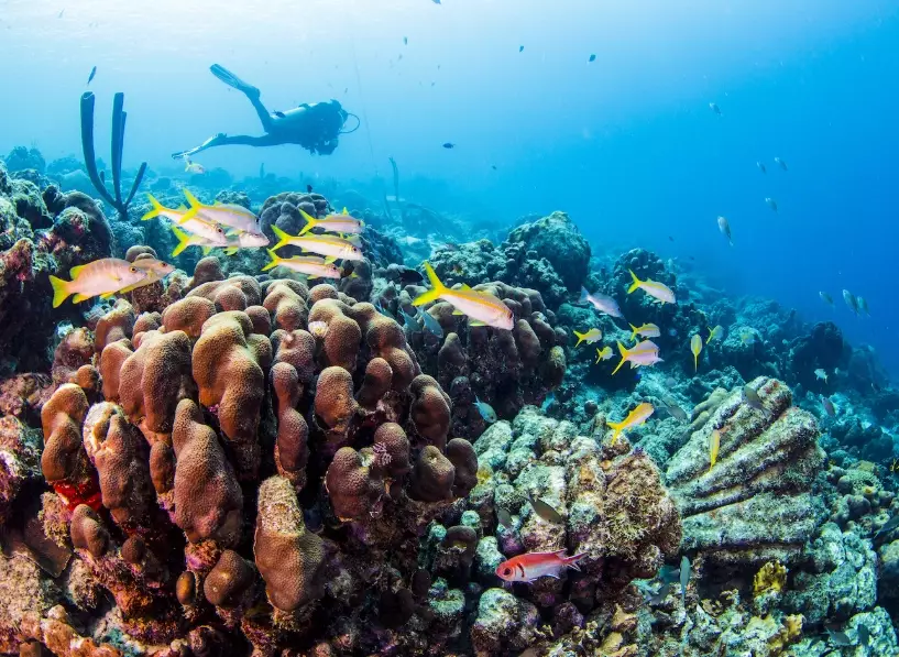 learn to scuba dive destinations