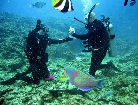 scuba diving Philippines weather scuba diving Philippines weather