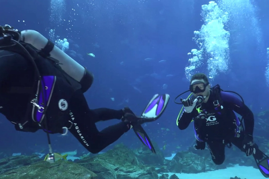 aquarium diving experience