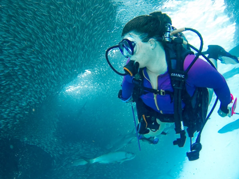 Where is the best place to scuba dive for beginners?