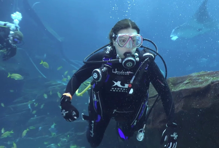 dive with whale sharks Atlanta