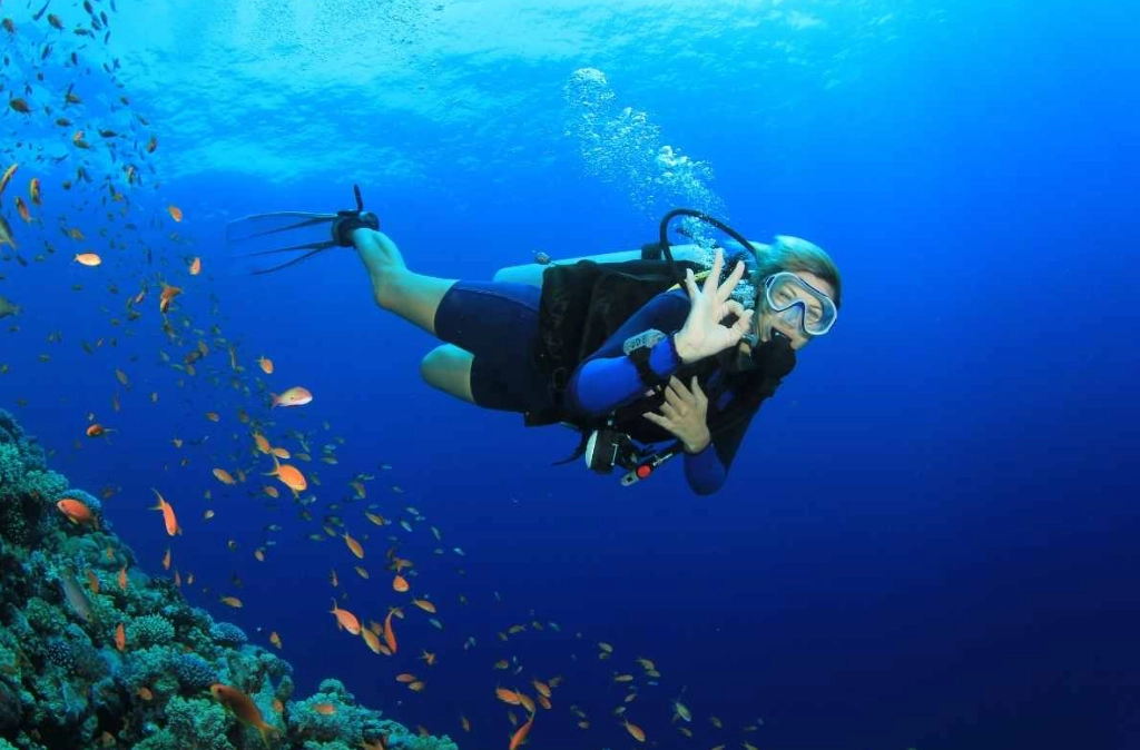 scuba diving capital of the Philippines