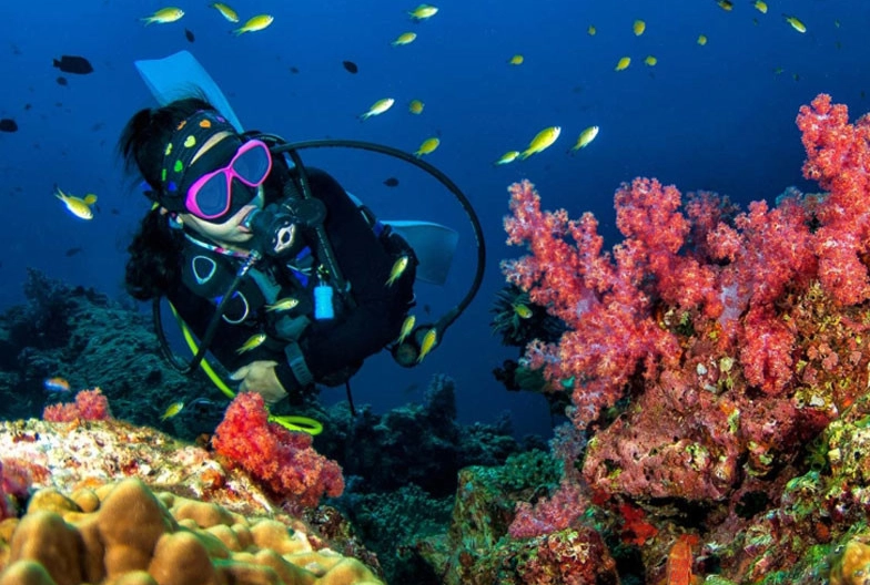 top dive sites world