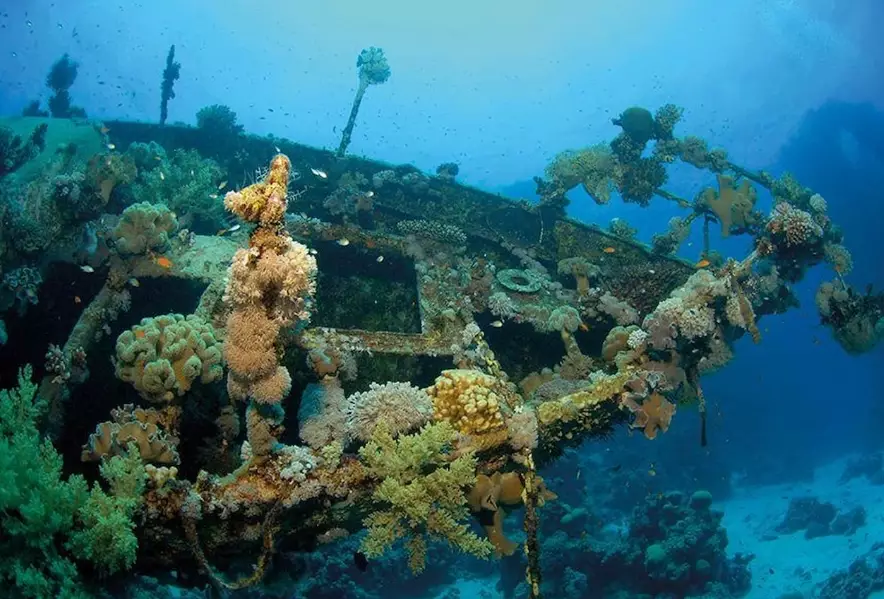 Red Sea liveaboard diving Red Sea liveaboard diving