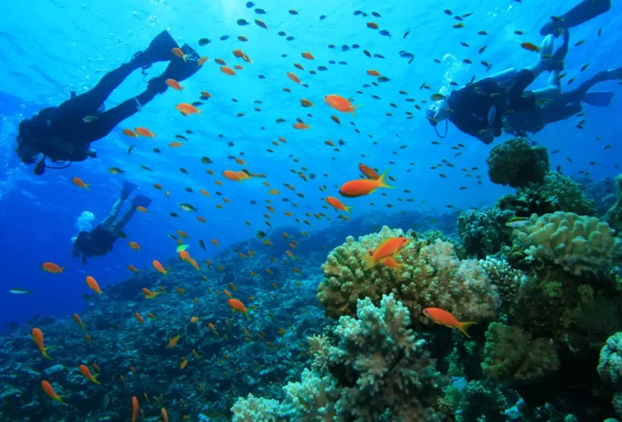 Top 10 best diving countries in the world