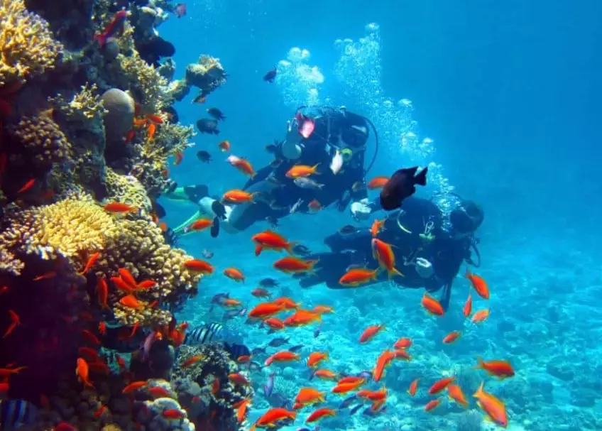 best dive sites Asia