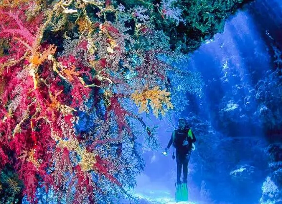 best diving Red Sea best diving Red Sea