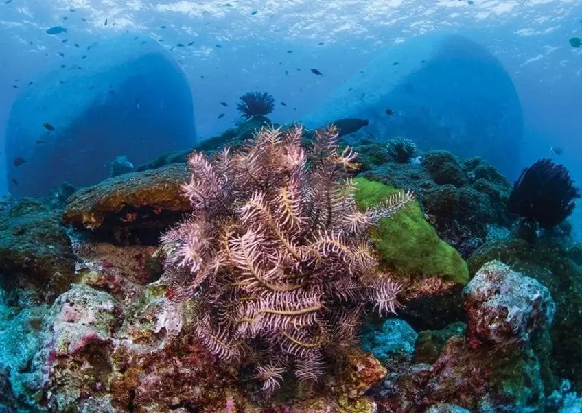 best dive sites in the world