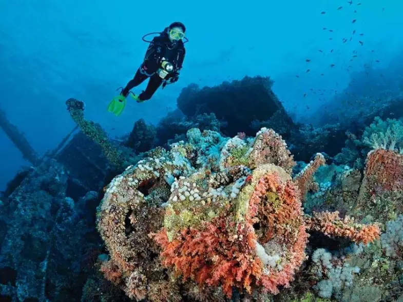 best diving Red Sea best diving Red Sea