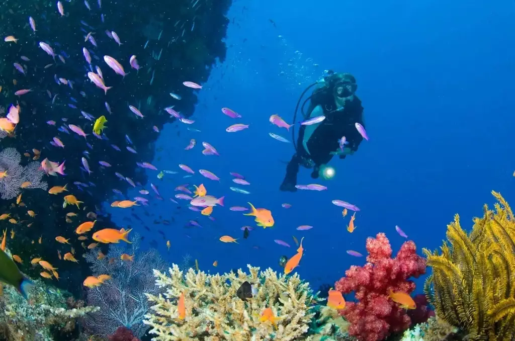 best first time diving Philippines