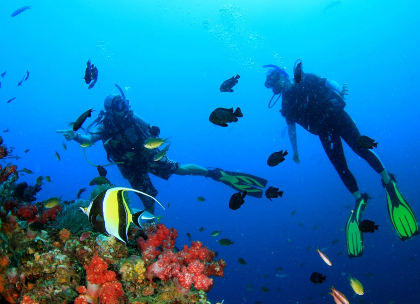 best time to dive Philippines best time to dive Philippines