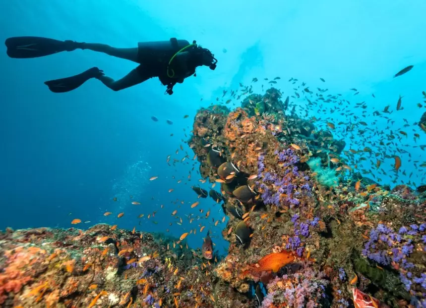 world's best dive spots