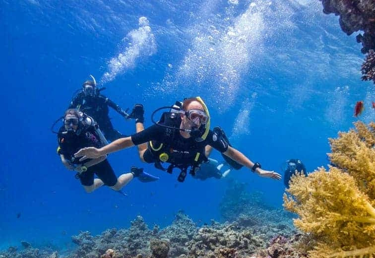 Egypt dive sites Egypt dive sites