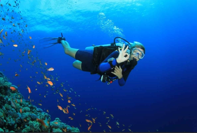 scuba diving capital of the Philippines