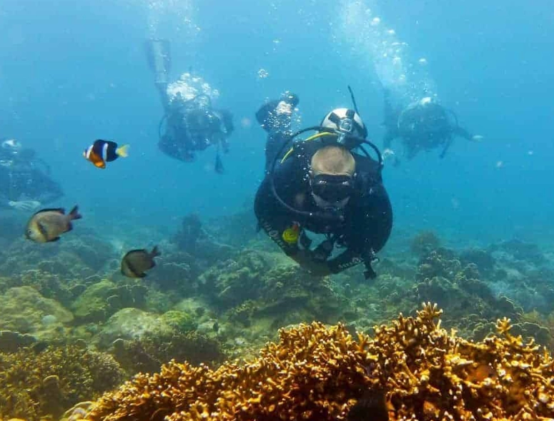 Asia diving destinations