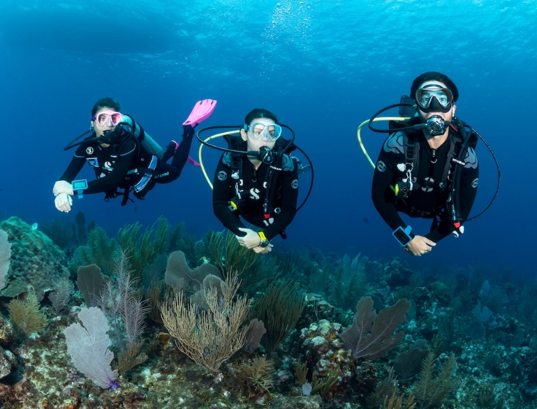 learn to scuba dive destinations