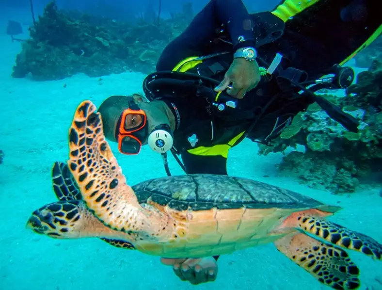 Caribbean diving destinations Caribbean diving destinations