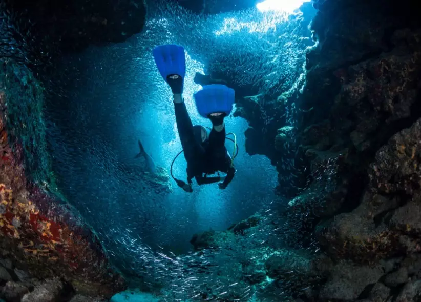 best Caribbean dive sites best Caribbean dive sites