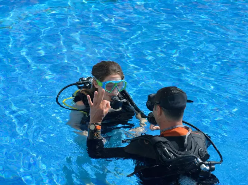 best diving spots near me