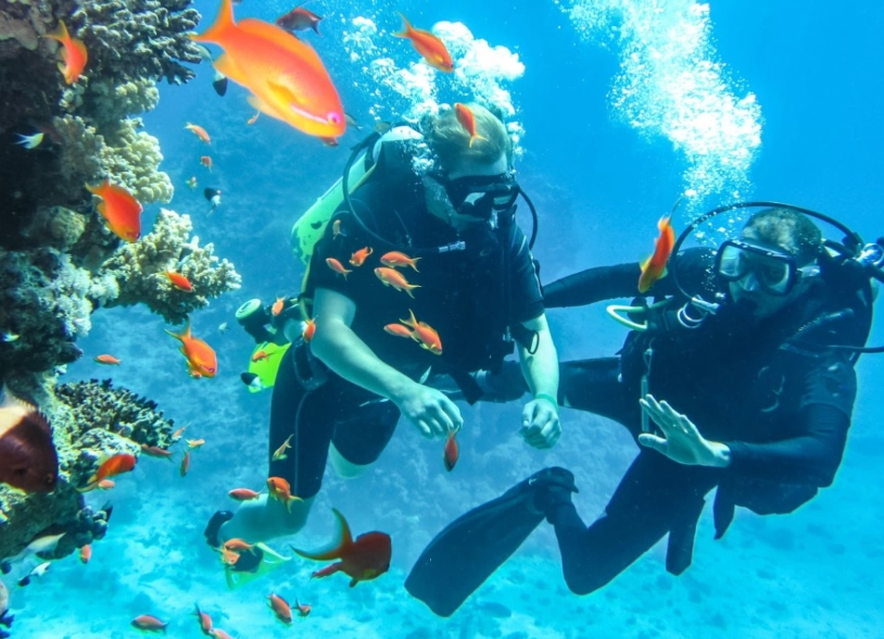 best scuba diving destinations best scuba diving destinations