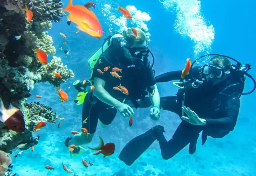 best scuba diving in the world