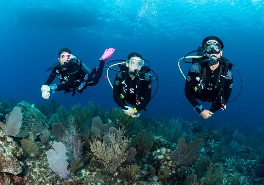 best scuba diving in the world