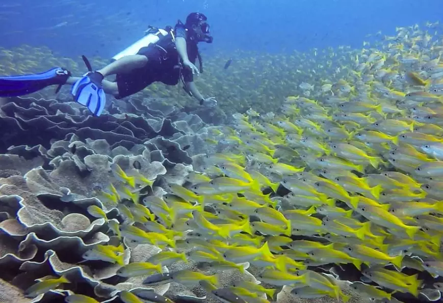 Palawan diving weather