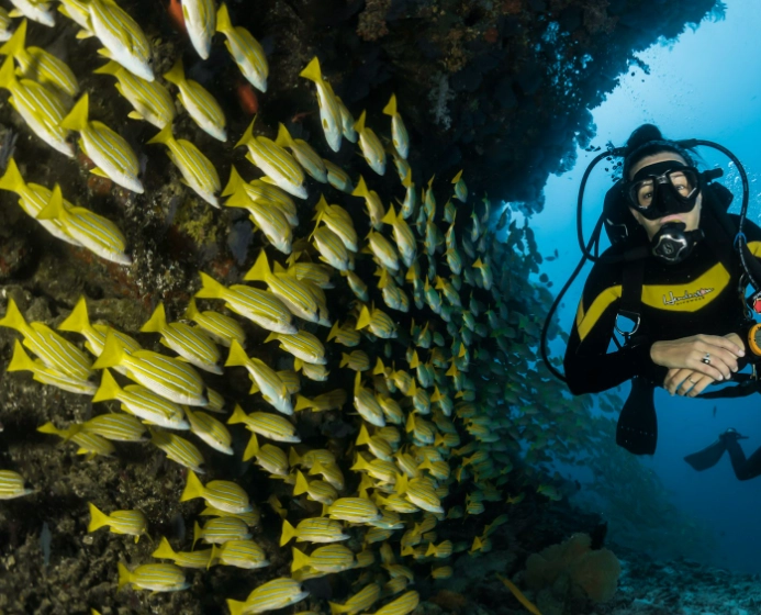 Palawan diving weather