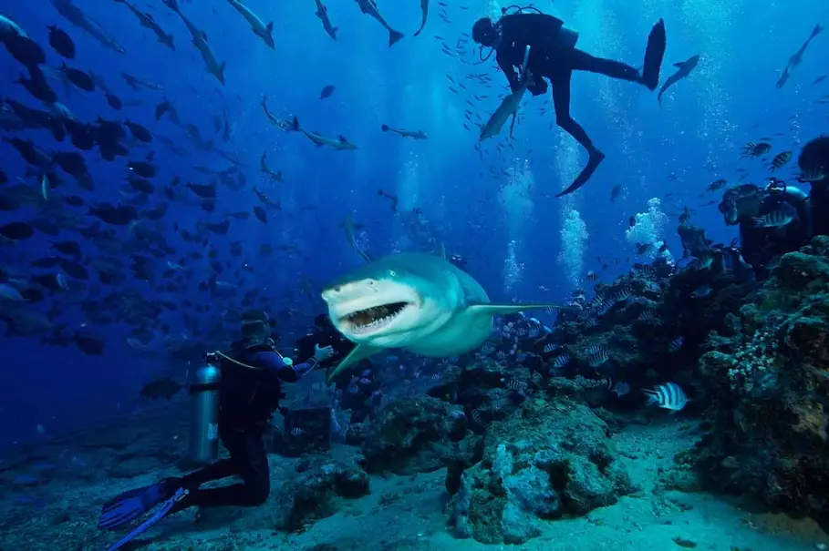 best scuba diving in the world