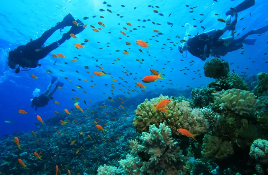 world-class diving locations world-class diving locations