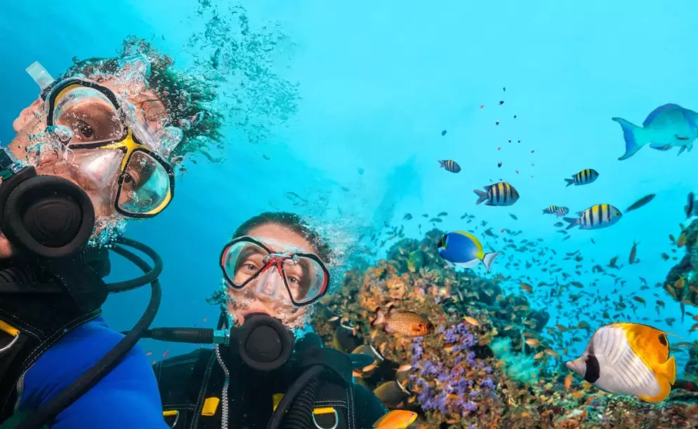 top dive destinations