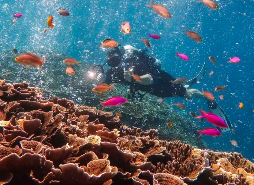 top scuba diving destinations top scuba diving destinations