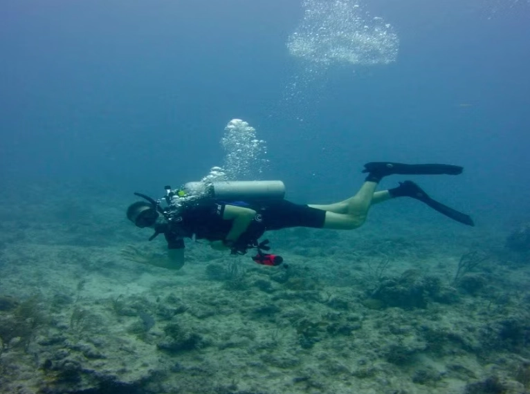 Anilao diving Anilao diving