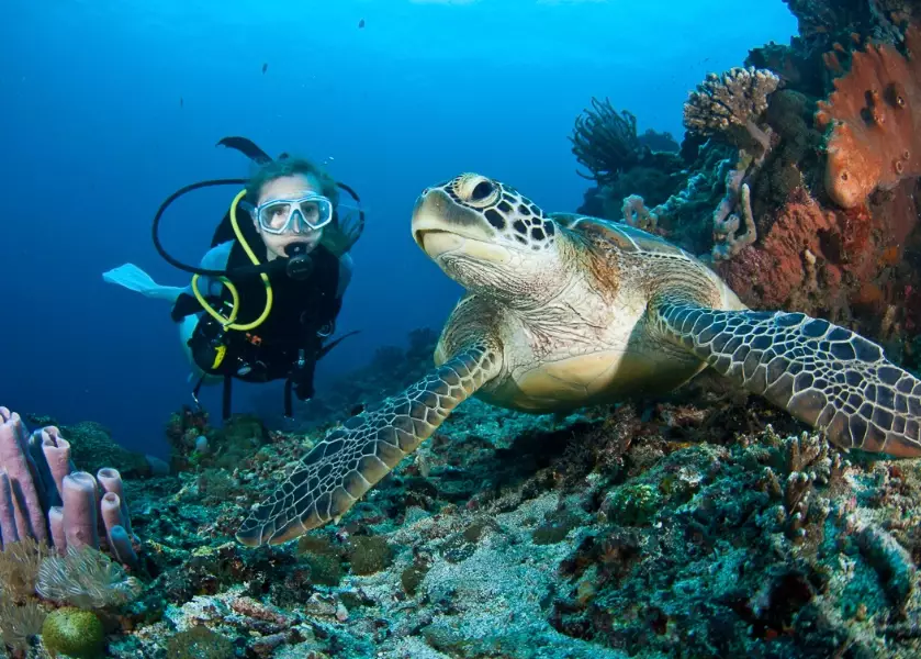 September diving conditions