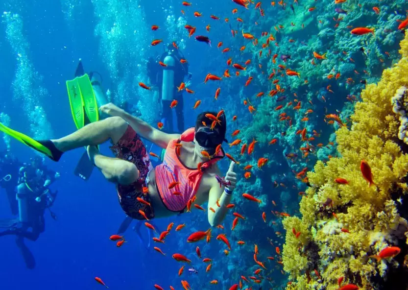 scuba diving gear September