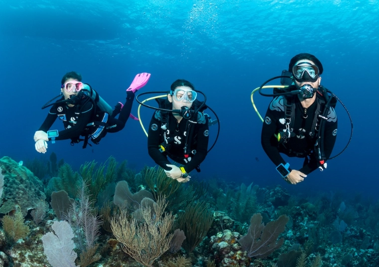 September diving conditions