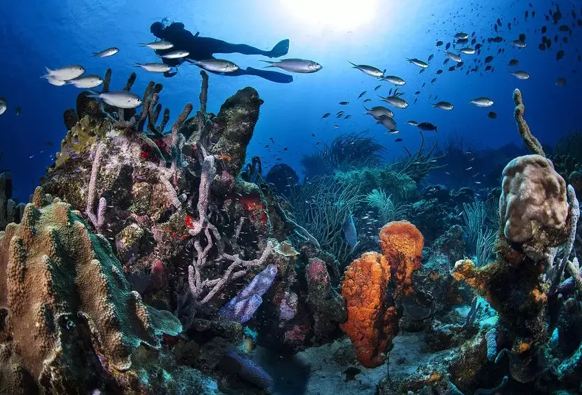 december dive conditions caribbean