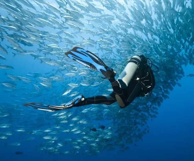scuba diving Philippines
