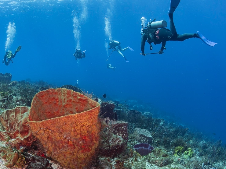dive capital of the Philippines dive capital of the Philippines